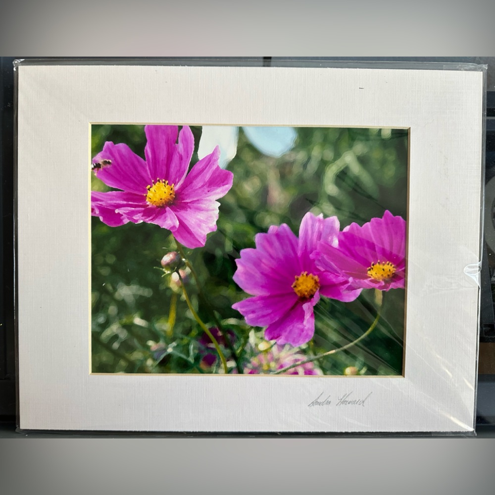 Beautiful Flowers - Photographers 8x10 print in a 11x14 mat in a plastic sleeve.